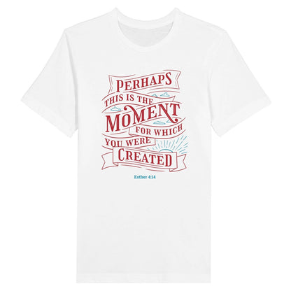 An image of Perhaps This Is The Moment | Premium Unisex Christian T-shirt available at 3rd Day Christian Clothing UK